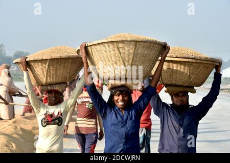 Dhamrai. November 2020. Arbeiter tragen Körbe mit Körnern auf ihren Köpfen in einer Mühle in Dhamrai am Stadtrand von Dhaka, Bangladesch, 23. November 2020. Quelle: Xinhua/Alamy Live News Stockfoto