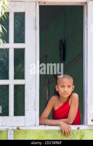 Junger buddhistischer Novize, der im Februar aus dem Fenster der Aung Myae Oo Monastic Free Education School in Sagaing, Mandalay, Myanmar (Burma), Asien schaut Stockfoto