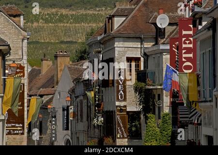 Ein Geschmack von Chablis … Die Rue des Moulins, wie auch andere zentrale Straßen in dieser kleinen Stadt im Herzen der Weinregion Burgund in Nordfrankreich, ist gesäumt von Hotels, Restaurants und den Kellern und Verkostungsräumen der Produzenten und Händler der weltberühmten feinen trockenen Weißweine. Die Weine werden hauptsächlich aus Chardonnay-Trauben gekeltert, die rund 4,000 Hektar der umliegenden burgundischen Landschaft und vor allem an den westlichen Hängen rund um Chablis selbst angebaut werden. Stockfoto