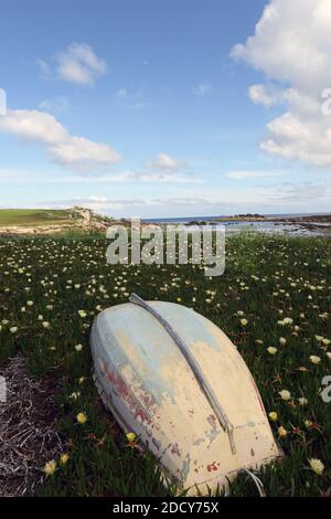 GROSSBRITANNIEN /Isles of Scilly / St Mary's /die Feuchtgebiete der Lower Moors, Isles of Scilly. Stockfoto
