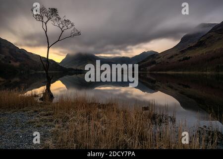 Frühmorgendliche Morgendämmerung bei Buttermere im Lake District mit interessantem einmundem Baum. Stockfoto