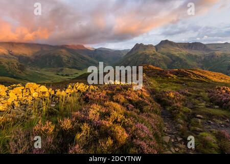 Lebendige Morgenlicht Beleuchtung Moorheide auf Berg mit dramatischen launischen Wolken. Stockfoto