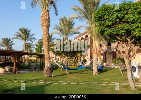 Hurghada, Ägypten - September 25 2020: Hängematten zwischen zwei Palmen im ägyptischen Garten. Urlaubs- und Urlaubskonzept Stockfoto