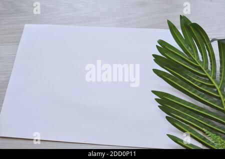 Mockup Karte mit Pflanzen. Einladungskarte mit Umgebung und Details Mockup mit Postkarte und Blumen auf weißem Hintergrund Stockfoto