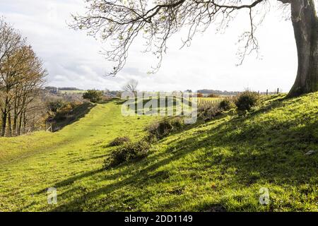 Einige der eisenzeitlichen Wälle von Uley Bury ein großer multivallate Hügel auf einem Ausläufer der Cotswold Steilwand in Uley, Gloucestershire UK Stockfoto