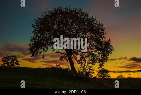 Ein magischer Abend auf dem Land. Der Himmel beeindruckte durch die ausdrucksstarken Farben. Stockfoto