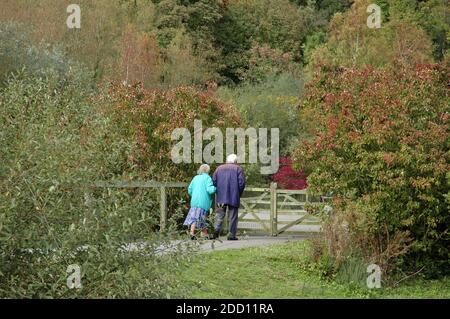 Älteres englisches Paar im Alter von 85 Jahren, zu Fuß durch Arundel Wildfowl und Wetlands Trust Park, Arundel, West Sussex, England. Oktober. Modellversion. Stockfoto