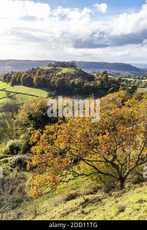 Ein Blick auf Downham Hill und Dursley von den eisenzeitlichen Wällen von Uley Bury auf einem Ausläufer der Cotswold Steilwand in Uley, Gloucestershire UK Stockfoto