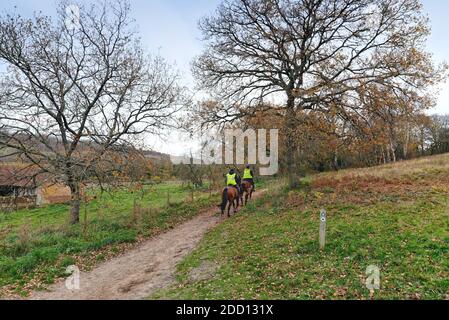 Zwei Reiter traben durch Wälder in Abinger Roughs on The North Downs Surrey Hills England Großbritannien Stockfoto