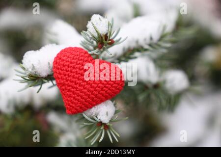 Rot gestricktes Herz auf von Schnee bedeckten Tannenzweigen. Hintergrund für Weihnachten und Neujahr Feier, Liebeskarte, Valentinstag oder Winterwetter Stockfoto