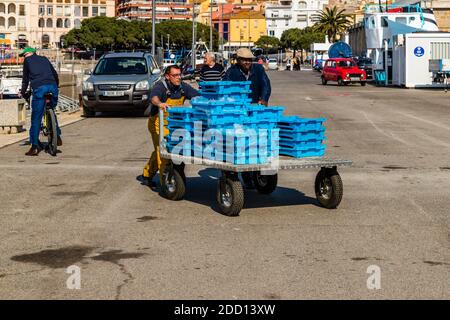 Kurz vor der katalanischen Fischauktion in Palamós, Spanien Stockfoto