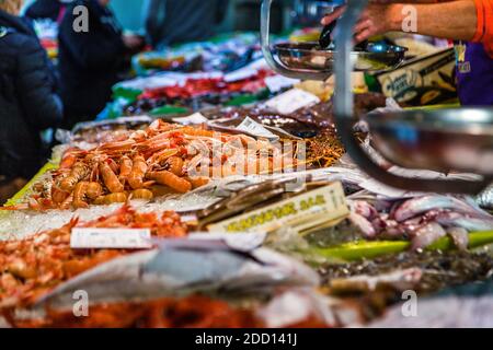 Katalanische Fischauktion in Palamós, Spanien Stockfoto