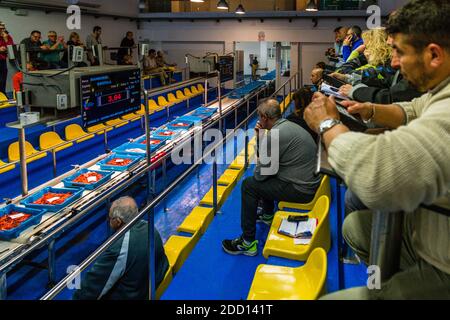 Katalanische Fischauktion in Palamós, Spanien Stockfoto