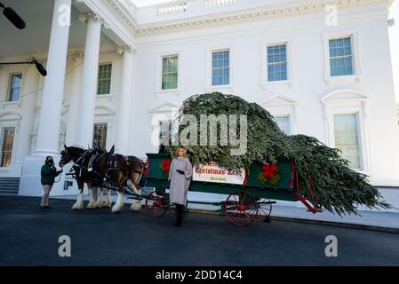 Washington, Usa. November 2020. First Lady Melania Trump erhält am Montag, den 23. November 2020, den offiziellen Weihnachtsbaum des Weißen Hauses im Weißen Haus in Washington, DC. Die 18 Fuß Fraser Fir, die im Blue Room angezeigt werden, ist von Dan und Bryan Bäume ist West Virginia. Foto von Kevin Dietsch/UPI Kredit: UPI/Alamy Live News Stockfoto