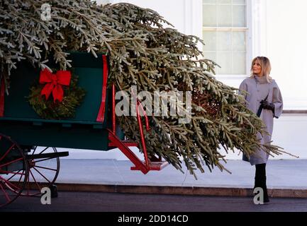 Washington, Usa. November 2020. First Lady Melania Trump erhält am Montag, den 23. November 2020, den offiziellen Weihnachtsbaum des Weißen Hauses im Weißen Haus in Washington, DC. Die 18 Fuß Fraser Fir, die im Blue Room angezeigt werden, ist von Dan und Bryan Bäume ist West Virginia. Foto von Kevin Dietsch/UPI Kredit: UPI/Alamy Live News Stockfoto