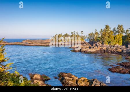 Felsige Küstenlandschaft in Ucluelet, Pacific Rim National Park Reserve, Vancouver Island, BC, Kanada Stockfoto