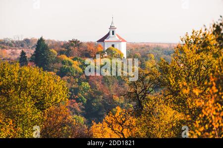 Schöne bunte Herbstwaldlandschaft mit der Kapelle des heiligen Antonius von Padua und des heiligen Florian auf dem Hügel in Dolni Kounice, Tschechische Republik Stockfoto