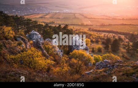 Farbenprächtiger Herbstuntergang über den Weinbergen vom Rocky Hill im Palava-Schutzgebiet bei Mikulov in Südmähren, Tschechische Republik Stockfoto