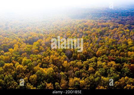 Luftbild von Oben nach Unten Blick auf Herbst Wald mit grünen und gelben Bäume. Gemischten Laub- und Nadelwald. Schönen Herbst Landschaft Stockfoto