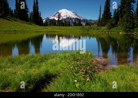 WA18418-00...WASHINGTON - Mount Rainier Reflecting in Tipsoo Lake at Mount Rainier National Park. Stockfoto