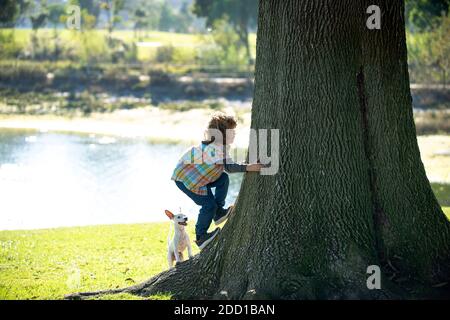 Kleiner Junge mit Hund klettert auf einen Baum. Kind spielt mit Welpen in einem Park und Klettern. Stockfoto