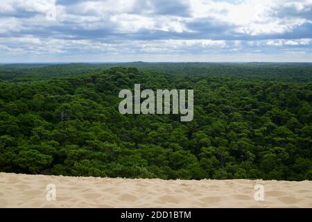 Europas größte Sanddünen, die Dune du Pilat, stehen vor dem Naturpark Landes de Gascogne Stockfoto