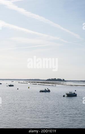 Am frühen Morgen Licht auf Booten in der Nähe von Oyster Betten in der Golfe du Morbihan - Golf von Morbihan - Bretagne, Frankreich Stockfoto