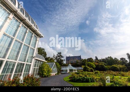 Palmenhaus, Botanischer Garten der Universität Helsinki, Helsinki, Finnland Stockfoto