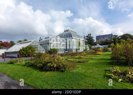 Palmenhaus, Botanischer Garten der Universität Helsinki, Helsinki, Finnland Stockfoto