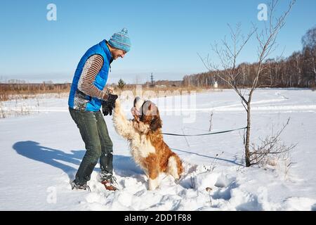 St. Bernard Hund mit Mann spielt im Schnee im Winter im Freien Stockfoto