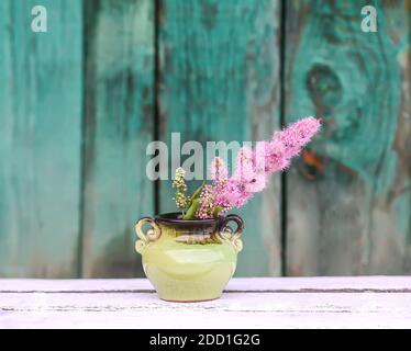 Astilbe Pflanzen rosa Blumen in Keramik Vase im Freien. Stockfoto