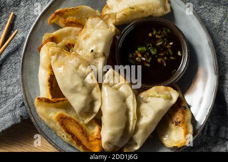 Hausgemachte Gyzo asiatische Schweinefleisch Potstickers mit Sojasoße Stockfoto