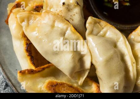 Hausgemachte Gyzo asiatische Schweinefleisch Potstickers mit Sojasoße Stockfoto