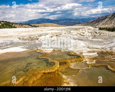 Aktive Erde und viel vulkanische Aktivität, Mammoth heiße Quellen, Yellowstone Nationalpark, MO, USA Stockfoto