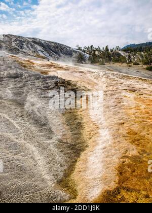 Erde von vulkanischer Aktivität geschnitzt, Mammoth heiße Quellen, Yellowstone National Park, MO, USA Stockfoto