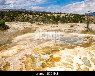 Heiße Schwefelquellen, Wasser und Wärme von vulkanischer Aktivität, Mammoth Hot Springs, Yellowstone National Park, MO, USA Stockfoto