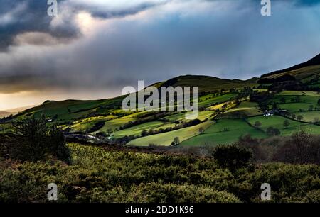 Hügel in Nord-Wales, Großbritannien mit Bäumen beleuchtet von der untergehenden Sonne in einem niedrigen Winkel.. Stockfoto