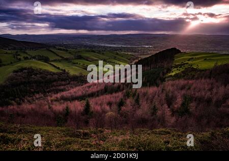Hügel in Nord-Wales, Großbritannien mit Bäumen beleuchtet von der untergehenden Sonne in einem niedrigen Winkel.. Stockfoto