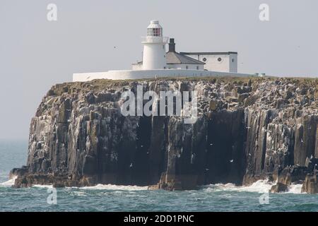 Der Leuchtturm auf der Insel Inner Farne, Northumberland, England. Stockfoto