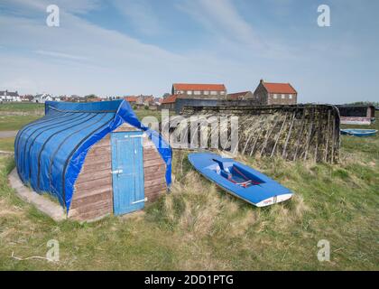 Umgedrehte Heringsboote werden jetzt als Fischschuppen auf der Heiligen Insel Lindisfarne, England, genutzt. Stockfoto