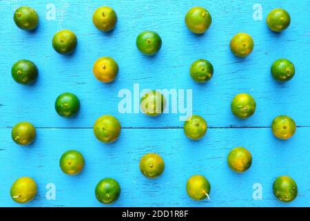 Gelbgrüne Calamansi, Calamondin oder philippinische Limette tropisches Fruchtmuster in hellblauem Holzhintergrund. Asiatische Sommer Zitrusfrüchte flach legen. Stockfoto