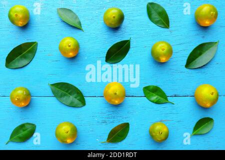 Gelbgrüne Calamansi, Calamondin oder philippinische Limette tropische Früchte und Blätter Muster in hellblauem Holz Hintergrund. Asiatische Sommer Zitrusfrüchte. Stockfoto