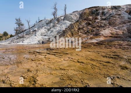 Travertin-Formationen in Palette Spring, Lower Terraces, Mammoth Hot Springs, Yellowstone National Park, Wyoming, USA. Stockfoto