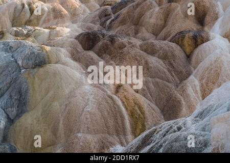 Travertin-Formationen in Palette Spring, Lower Terraces, Mammoth Hot Springs, Yellowstone National Park, Wyoming, USA. Stockfoto