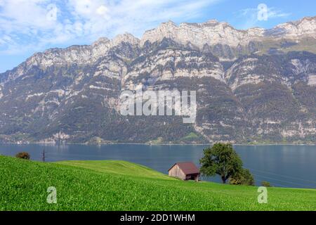 Walensee, Quarten, St. Gallen, Schweiz, Europa Stockfoto