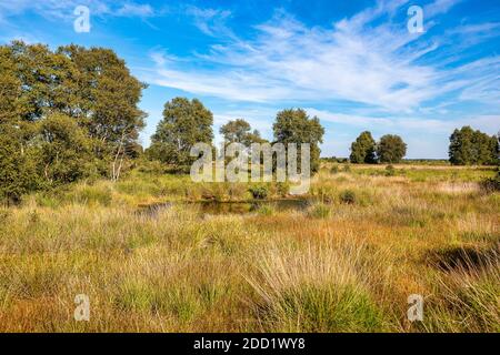 Die Region Ewiger Meer in der Nähe der Stadt Aurich in Ostfrisien. Stockfoto