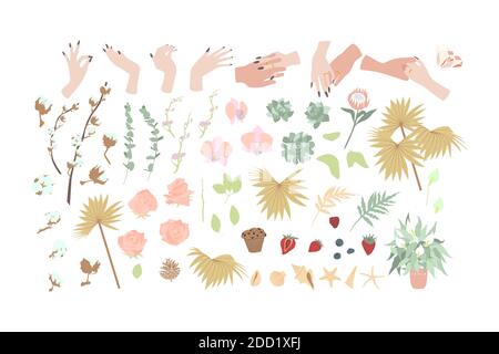 Elegantes handgezeichnetes Pastell Boho floral Cliparts Set. Isoliert auf weißem Hintergrund Stock Vektor