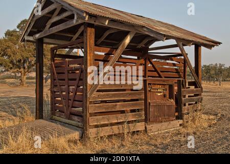 Antiquiertes „in Ground“ Livestock Scalehouse, Gewichte & Messungen Zertifizierungssiegel 1959 - 2001, Gewichte & Maße, Kalifornien. Stockfoto