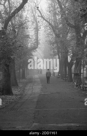 ZAGREB, KROATIEN 18.11.2020.Strossmayer Promenade Schwarze und weiße Straße mit starkem Nebel. Stockfoto