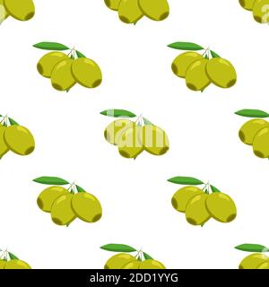 Illustration zum Thema der hellen Muster italienische Olive, Ölbeere für Dichtung. Beerenmuster bestehend aus schöner italienischer Olive, viel Kräuteröl. Einfach Stock Vektor